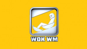 Die TV TOTAL Wok-WM