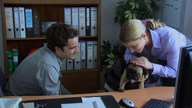 Ein Hund im Büro 2 - Staffel 5 Clip aus Folge 6 -MySpass.de