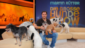 Martin Rütter - Die große Hundeshow